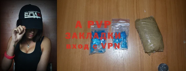 спиды Богданович