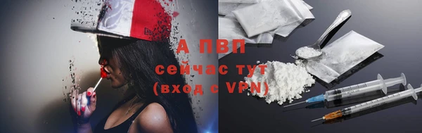 спиды Богданович