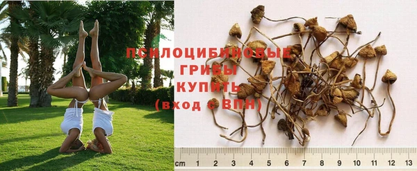 кокаин колумбия Тихвин