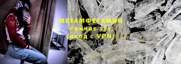 спиды Богданович
