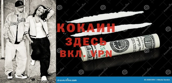 спиды Богданович