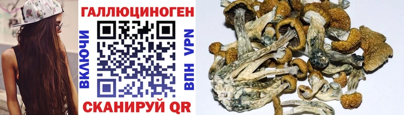 Псилоцибиновые грибы прущие грибы  Вилючинск 